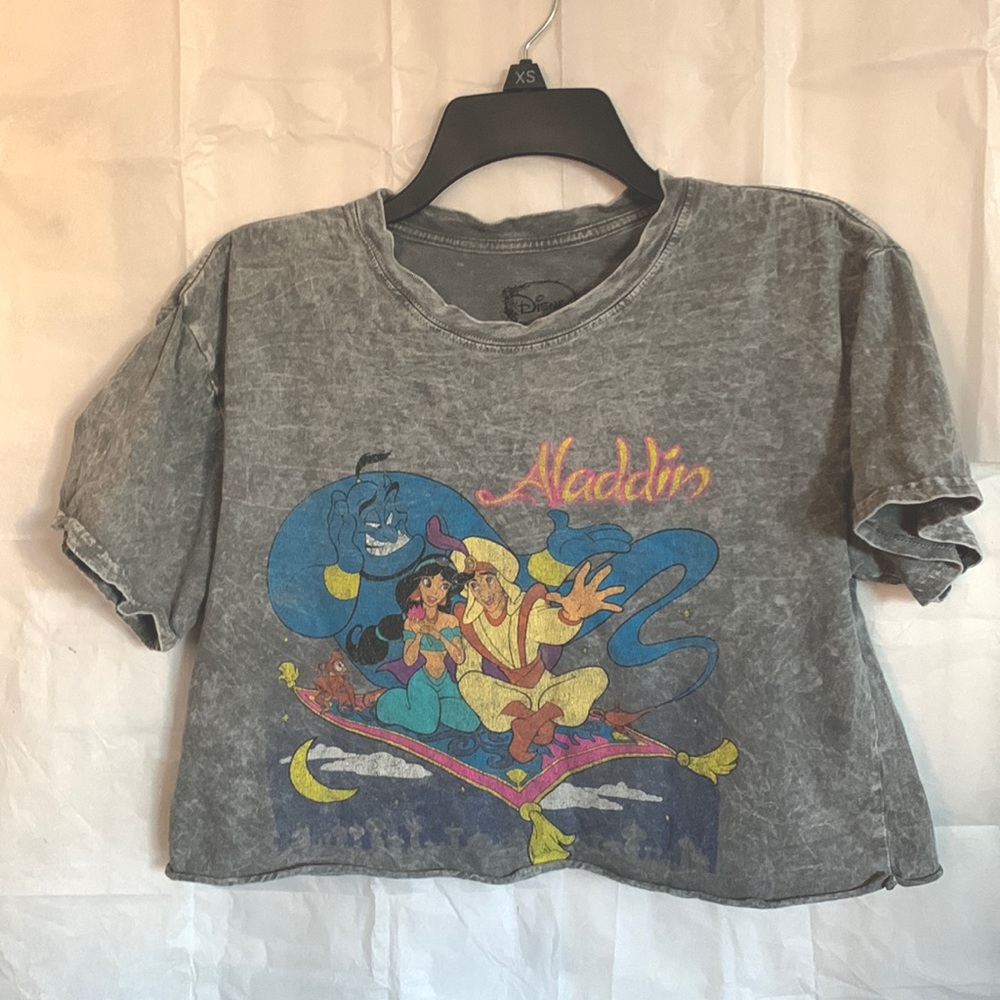 Disney Aladdin Crop Top - Small